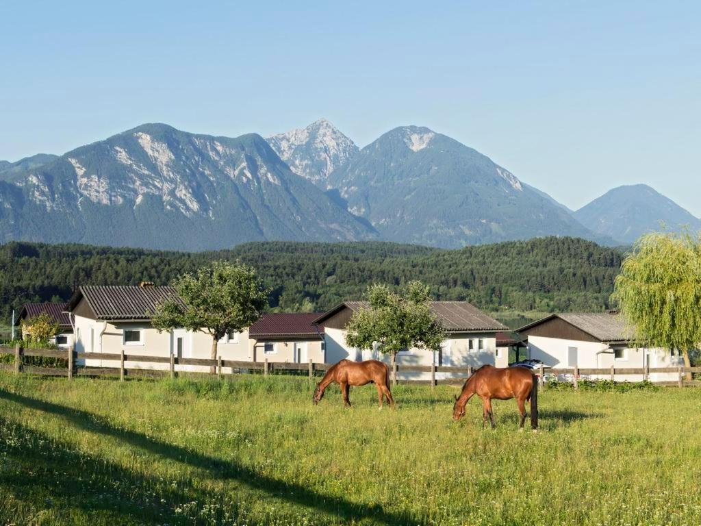 Ilsenhof Am Turnersee Obersammelsdorf Dış mekan fotoğraf